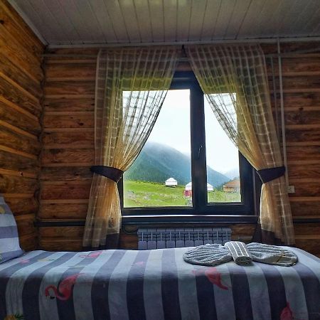 Altyn Arashan Guesthouse 외부 사진